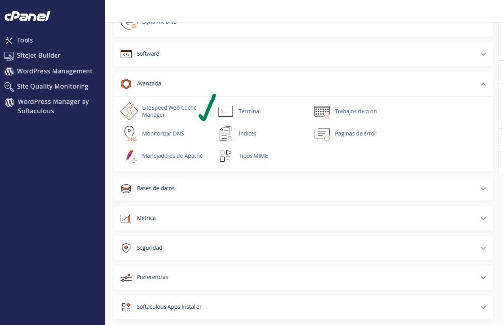 LiteSpeed Web Cache Manager en cPanel para WordPress 2 Accede a LiteSpeed