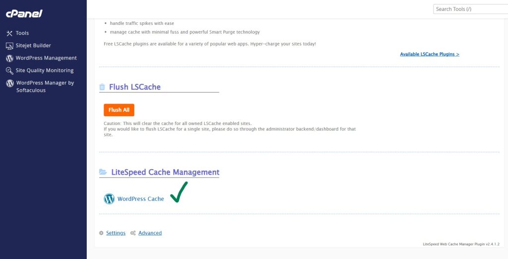 LiteSpeed Web Cache Manager en cPanel para WordPress 3 Habilitar Cache
